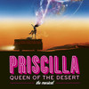 Priscilla Queen of the Desert at the Benedum Center, Pittsburgh