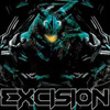 Excision