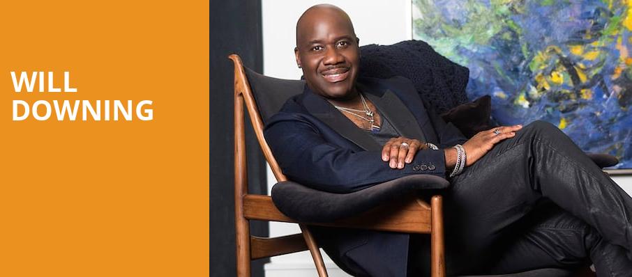 Will Downing, City Winery, Pittsburgh