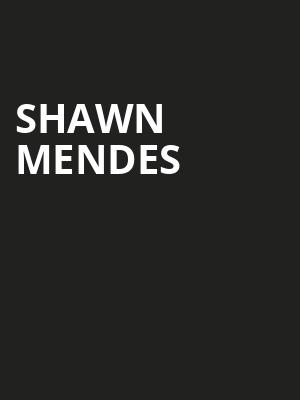Shawn Mendes, PPG Paints Arena, Pittsburgh