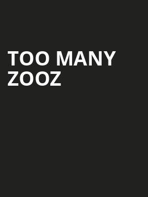 Too Many Zooz, Thunderbird Cafe, Pittsburgh
