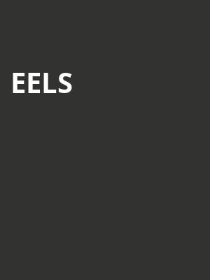 Eels, Carnegie Library Music Hall Of Homestead, Pittsburgh