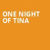 One Night of Tina, Carnegie Library Music Hall Of Homestead, Pittsburgh
