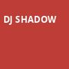 DJ Shadow, Mr Smalls Theater, Pittsburgh